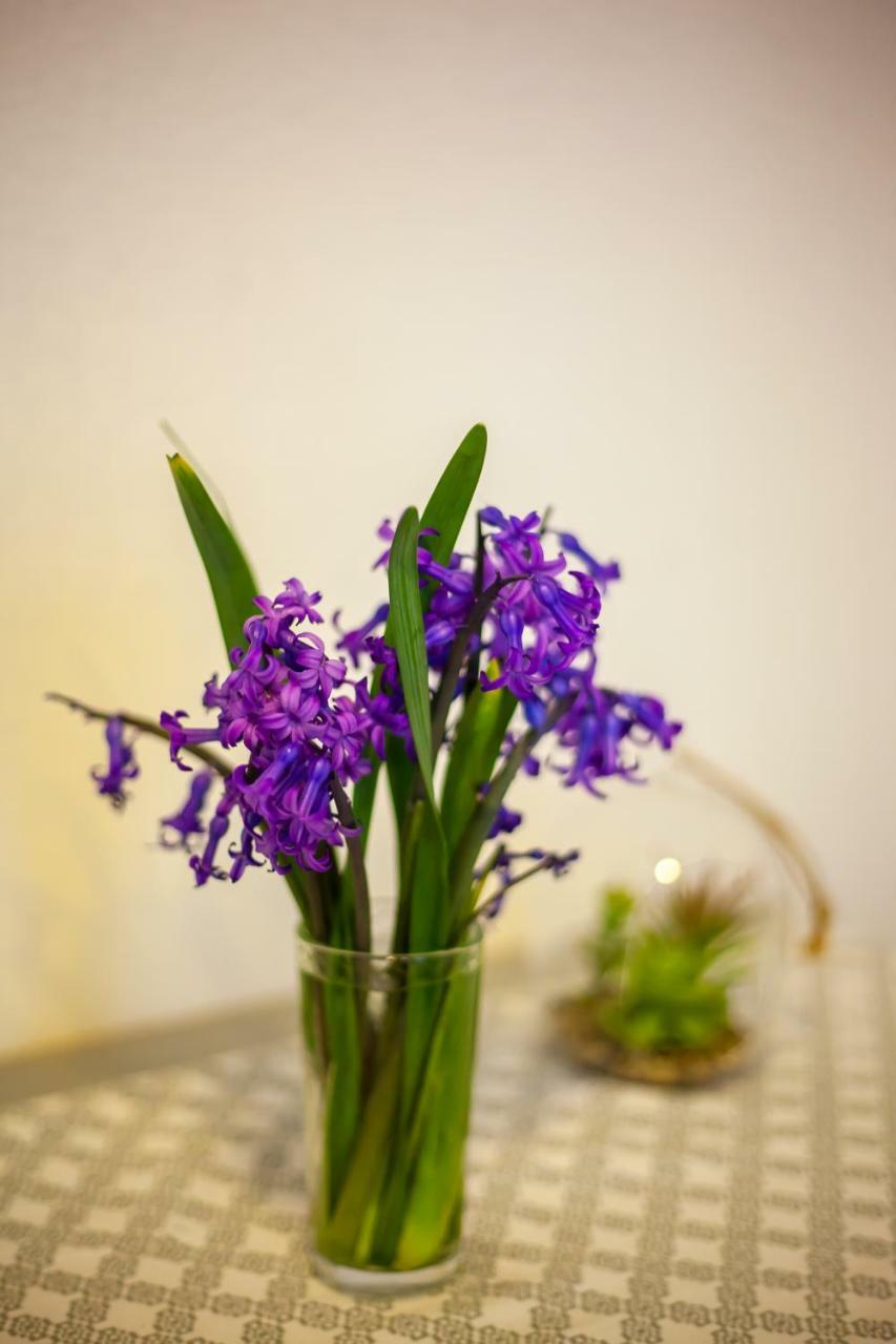 Artemida Apartment Tbs ティビリシ エクステリア 写真